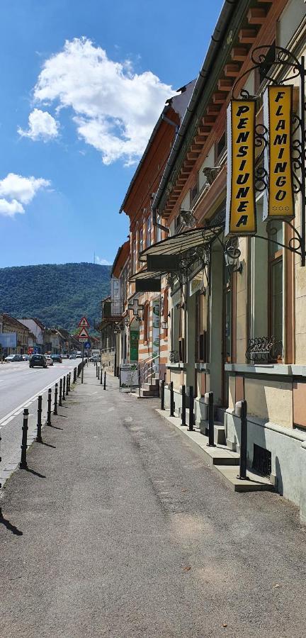 Pension Flamingo Braşov Extérieur photo