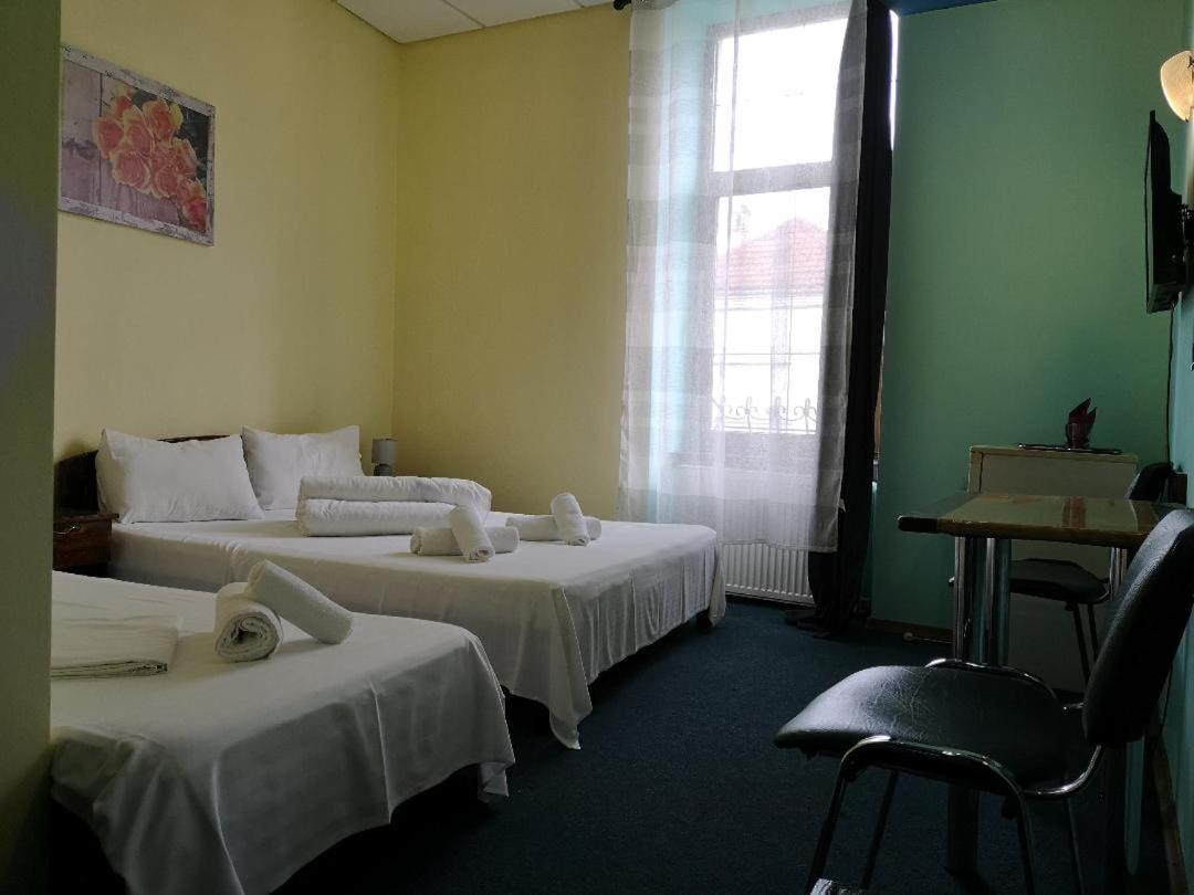 Pension Flamingo Braşov Extérieur photo