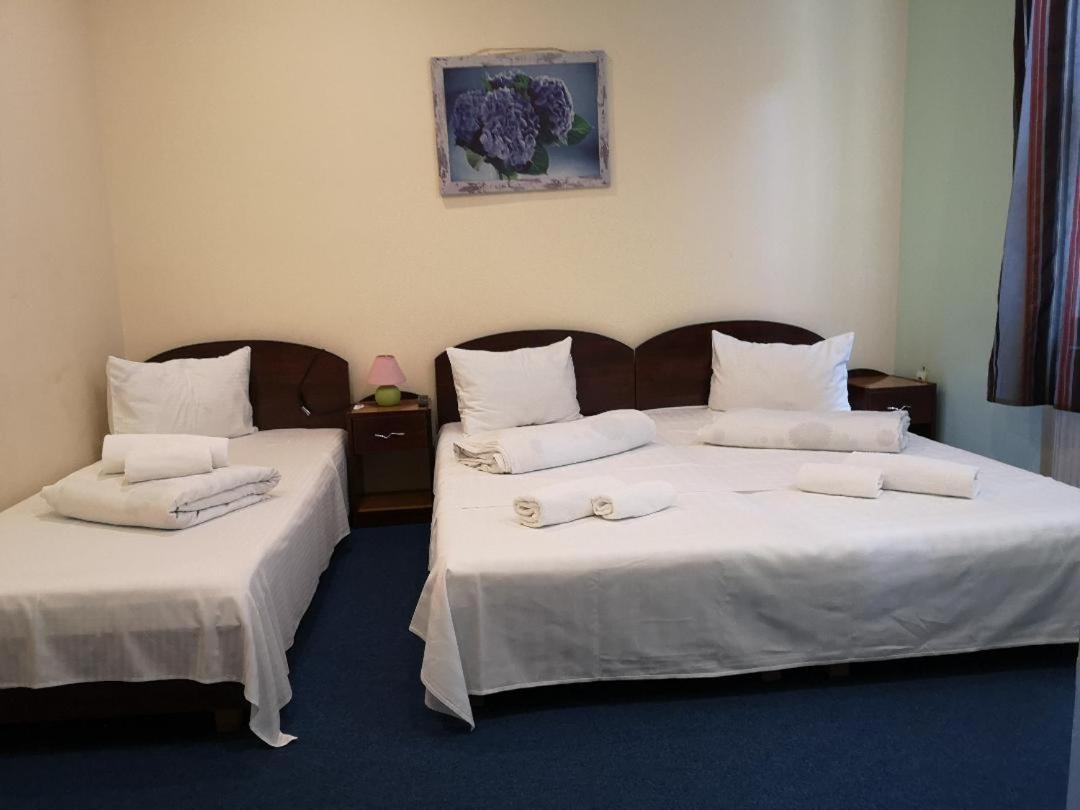 Pension Flamingo Braşov Extérieur photo