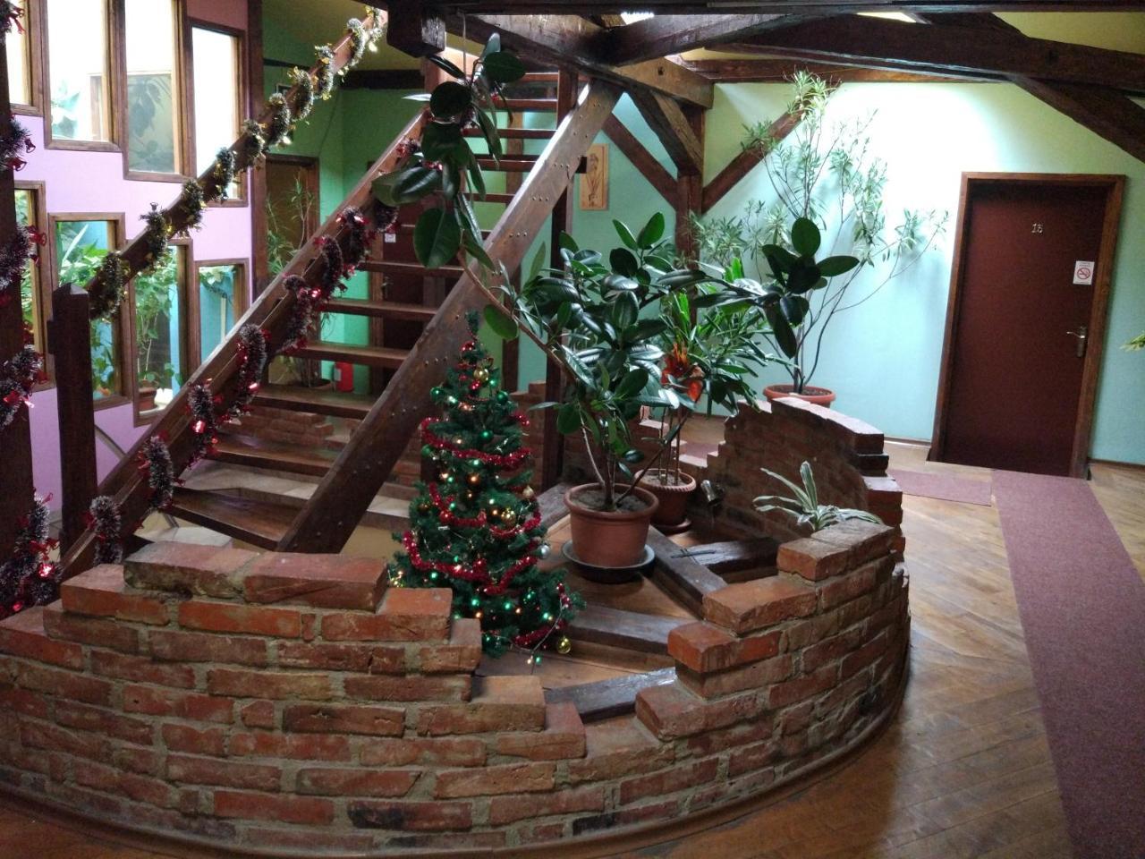 Pension Flamingo Braşov Extérieur photo